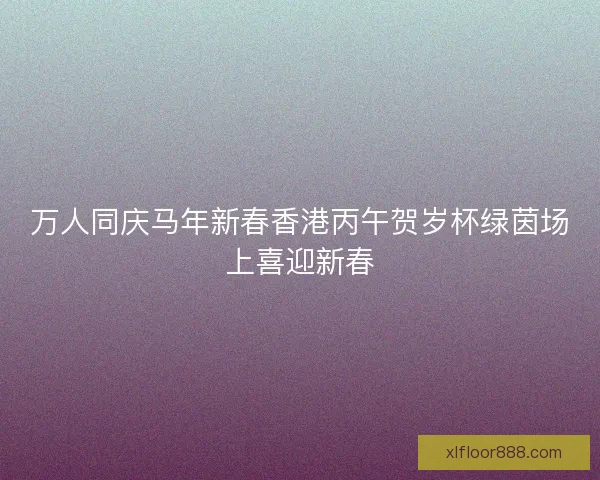 万人同庆马年新春香港丙午贺岁杯绿茵场上喜迎新春